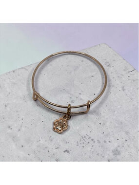 Rose Gold Expandable Bangle Bracelet Paw Print Charm Adjustable NWOT